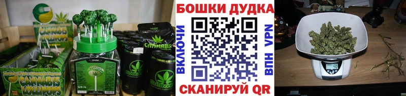 Cannafood конопля  Аргун 