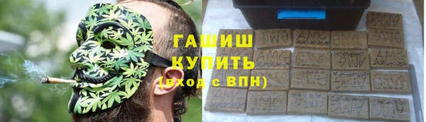 стафф Осташков
