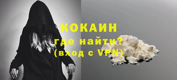 молекула духа Осинники