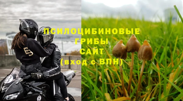 молекула духа Осинники