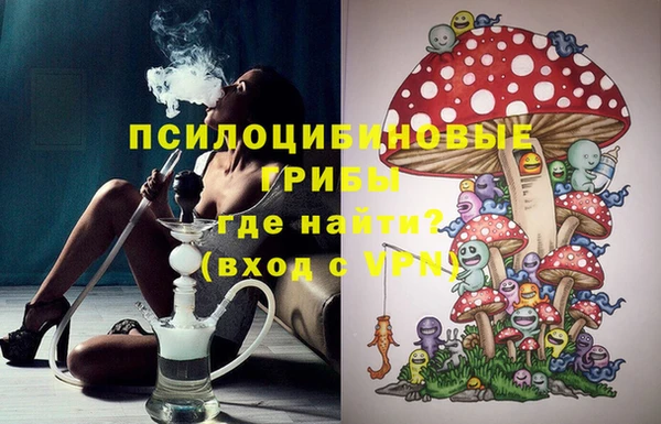 стафф Осташков