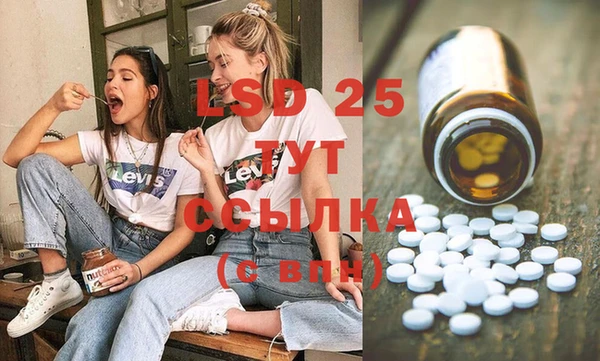 стафф Осташков