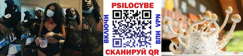 Галлюциногенные грибы мицелий  Аргун 