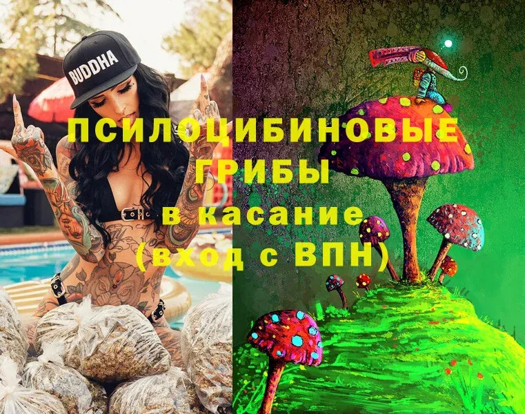 blacksprut рабочий сайт  даркнет сайт  Аргун  Галлюциногенные грибы MAGIC MUSHROOMS 