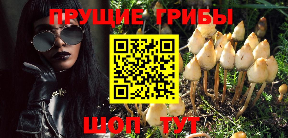 Аргун  Псилоцибиновые грибы Cubensis  Псилоцибиновые грибы GOLDEN TEACHER  Вход с VPN 