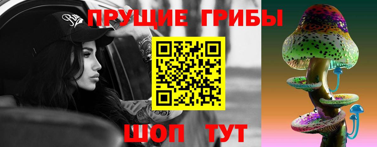 Галлюциногенные грибы Psilocybine cubensis  Аргун 